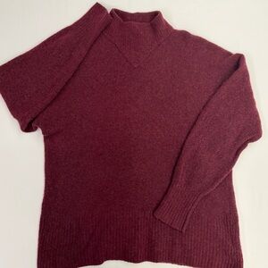 Everlane Burgundy Turtleneck Sweater